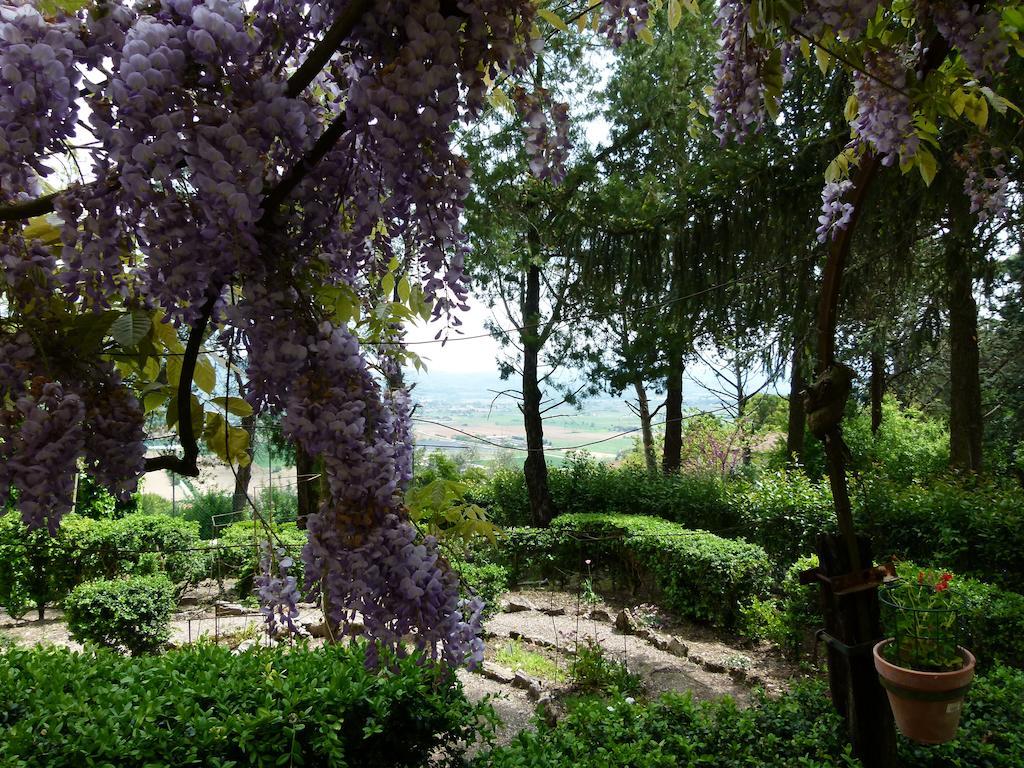 Casa Fiorita Bed & Breakfast Sant'Enea Exterior photo